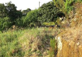 Ruin for recovery with well