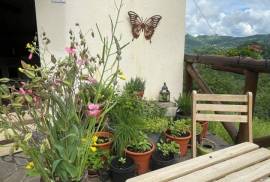 Excellent 2 Bed Tuscan Cottage for Sale In Molazzana Lucca