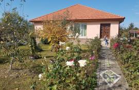 Excellent 3 Bed House For Sale In Seini Maramures