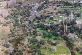 Excellent Plot of land for sale in Karystos Evia
