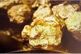 Gold mine in Brazil with over 7 million ounces of reserve potential