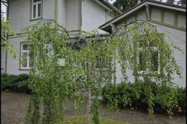 Detached house for rent in Jurmala, 240.00m2