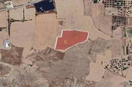 Agricultural Field for Sale in Troulloi Community, Larnaca.