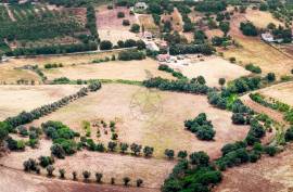 Agricultural Land with 3 hectares in Vidigal Velho- Portimão