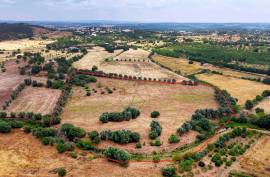Agricultural Land with 3 hectares in Vidigal Velho- Portimão