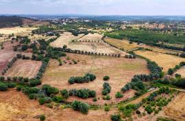 Agricultural Land with 3 hectares in Vidigal Velho- Portimão