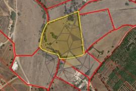 Agricultural Land with 3 hectares in Vidigal Velho- Portimão