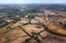 Agricultural Land with 3 hectares in Vidigal Velho- Portimão