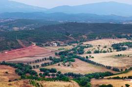 Agricultural Land with 3 hectares in Vidigal Velho- Portimão