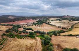Agricultural Land with 3 hectares in Vidigal Velho- Portimão