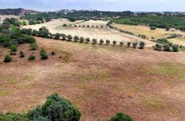 Agricultural Land with 3 hectares in Vidigal Velho- Portimão