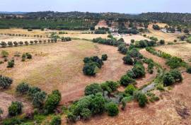 Agricultural Land with 3 hectares in Vidigal Velho- Portimão