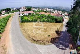 Land Bombarral Estorninho