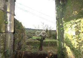 House in a State of Ruin - Povoação