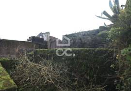 House in a State of Ruin - Povoação