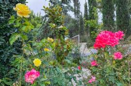 Luxury 3 Bed Home For sale in Neos Voutzas Attica