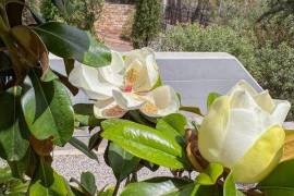 Luxury 3 Bed Home For sale in Neos Voutzas Attica