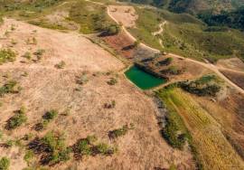 Magnificent 106.000 m2 farm with housing and water Salir - Loulé