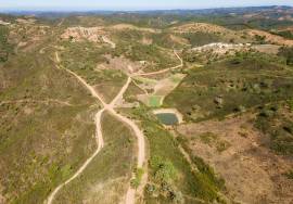 Magnificent 106.000 m2 farm with housing and water Salir - Loulé