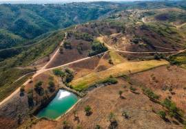 Magnificent 106.000 m2 farm with housing and water Salir - Loulé