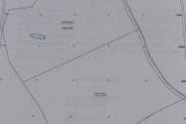 Magnificent 106.000 m2 farm with housing and water Salir - Loulé