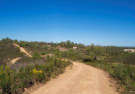 Magnificent 106.000 m2 farm with housing and water Salir - Loulé