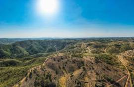Magnificent 106.000 m2 farm with housing and water Salir - Loulé