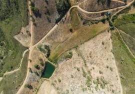 Magnificent 106.000 m2 farm with housing and water Salir - Loulé