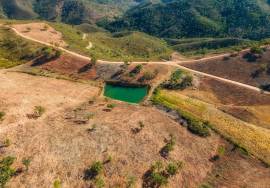 Magnificent 106.000 m2 farm with housing and water Salir - Loulé