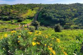 North Tavira: Countryside T3+1 villa with pool on expansive 21,700 m² plot