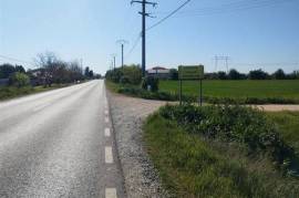 Land for sale 90000 sqm in Calarasi