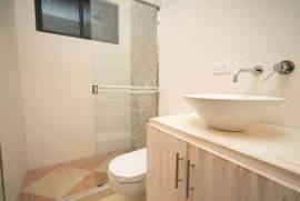 Casa Dos Rosas: Near the Coast House For Sale in Tamarindo