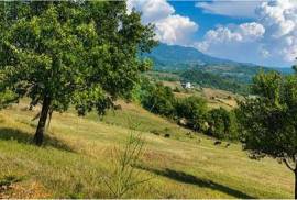 Land-Plot for sale in Tirana Albania