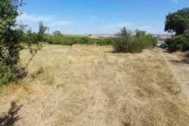 Large plot of land with a view and a demolished house in Zhitnitsa, Varna
