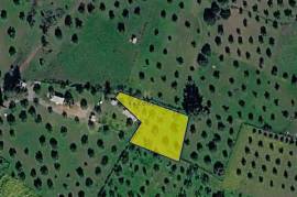 Land for sale in Kornos area, Larnaca