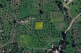 Land for sale in Kornos area, Larnaca