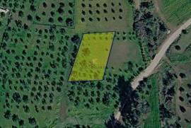 Land for sale in Kornos area, Larnaca