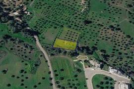 Land for sale in Kornos area, Larnaca