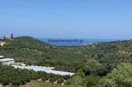 2397650 - Plot of Land For sale, Nea Kidonia, 9.800 sq.m., €260.000