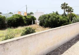 Rural Land with Potential in Olhão