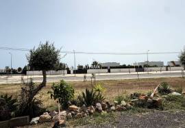 Rural Land with Potential in Olhão