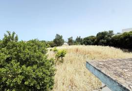 Rural Land with Potential in Olhão
