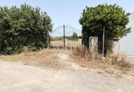 Rural Land with Potential in Olhão