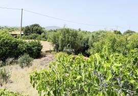 Rural Land with Potential in Olhão