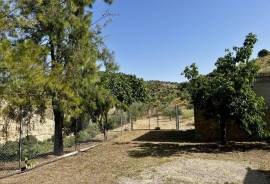 La Fortuna Country Property