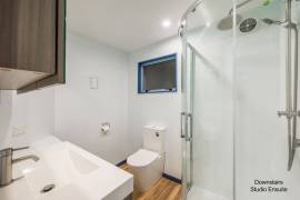 Stunning Family Home With 2 Dwellings for Sale in Wellington New Zealand