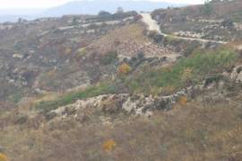 2 Excellent Plots of land for sale in Souskiou and Arsos, Limassol Cyprus
