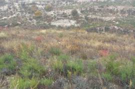 2 Excellent Plots of land for sale in Souskiou and Arsos, Limassol Cyprus