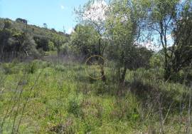 Flat plot of land with an area of ​​13,900 m² at the entrance to Loulé.