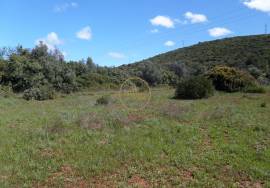 Flat plot of land with an area of ​​13,900 m² at the entrance to Loulé.